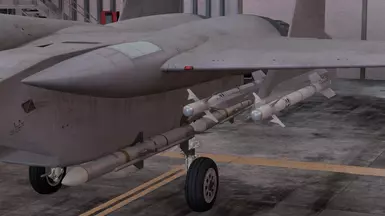 F-15J with 4MSL (AAM-3)