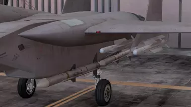 F-15J with 4MSL (AAM-5)