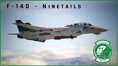 F-14D - Ninetails