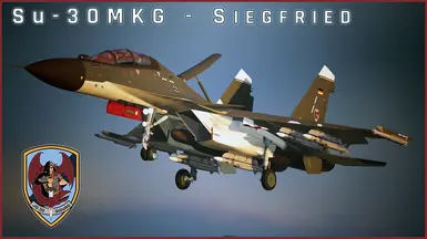 Su-30MKG - Siegfried        (Custom Skin plus NATO Type Weapons Module)