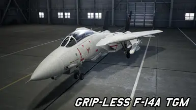 Gripless F-14A TGM