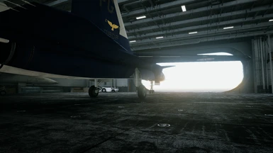 Grand Theft Airstrike: [REL]Grabacr Su-47 and S/MTD (8492nd squadron) and Ace  Combat: Assault Horizon mods!