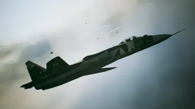 Su-47 Akula Concept at Ace Combat 7: Skies Unknown Nexus - Mods and  community 