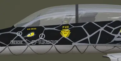 Named Version