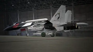 Antares Markings