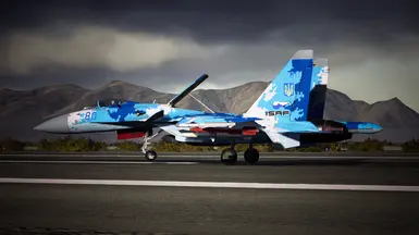 The Su-37BU - Blue 80 during its test trials (Complete with dummy missiles and the MICA EM which is originally proposed to the Ukrainian Air Force)