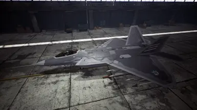 ASG - Spare Skin