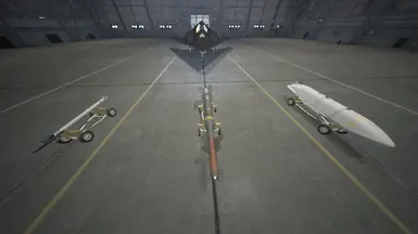 F-117A SpW