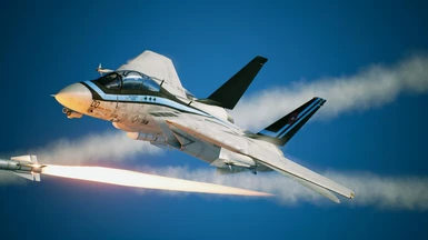 F-14D -2020 Maverick-