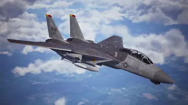 F-14B 13th FS Wild Weasel
