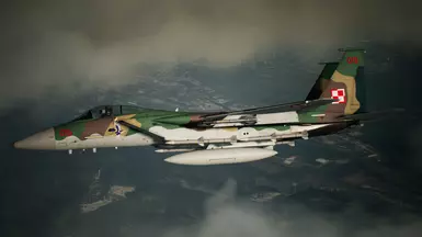 F-15C -Poland- (317 Sq)