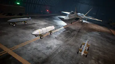 Weapons Module (SOD, LACM, 8AAM)