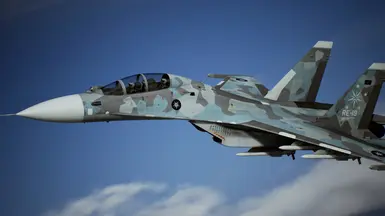 Su-47 Akula Concept at Ace Combat 7: Skies Unknown Nexus - Mods and  community 