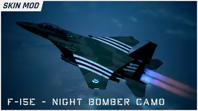 F-15E - Night Bomber Camouflage