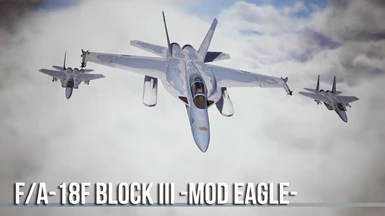 FA-18F Block III -Mod Eagle-