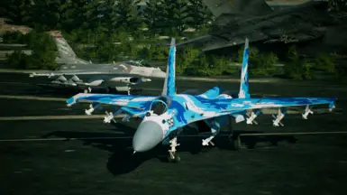 Su-33 - Count