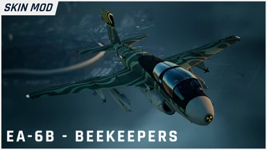 EA-6B - Beekeepers