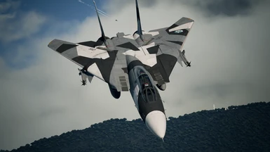 F-14A Tomcat - Splinter Camouflage