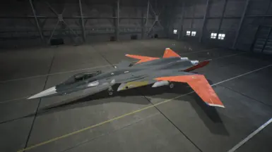 Special Skin
