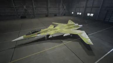 Erusea Skin with Erusean &amp; EASA markings