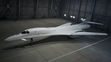 Slot 11 - Blinder (based on Tu-22M3 livery)