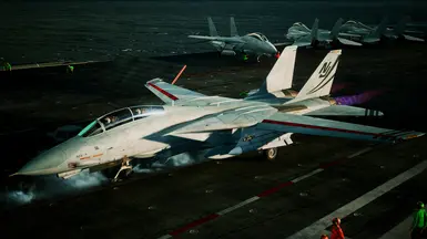 F-14B -LowVis Ferris Variation-