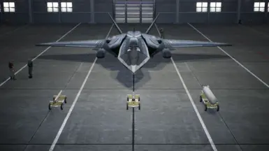 Type 1's Special Weapons