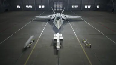 Type 2's Special Weapons