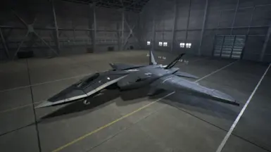 Type-1's Spare skin