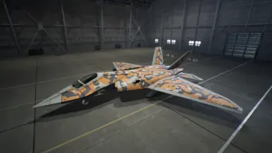 Type-2's Special skin
