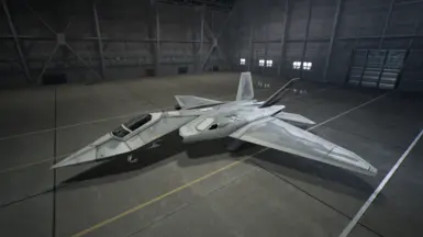 Type-2's Spare skin