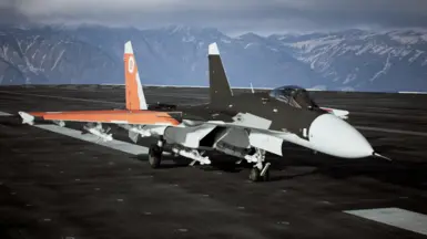 SU-33