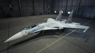 Su-27MKS Extra Skin 4 - LZ Custom Mage