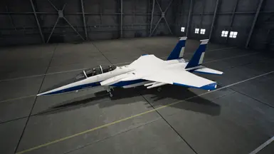 Special skin