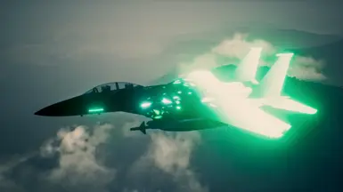 F-15E Aurora Blossom Like