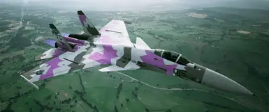 Su-33 Pink splinter