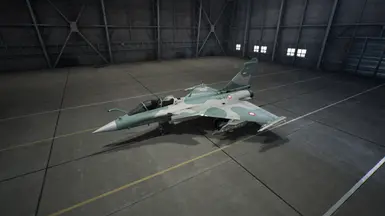Skin 8 - Indonesian Air Force
