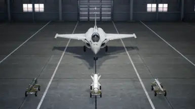 Special Weapons - 6AGM, LASM, Q6AAM