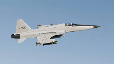 F-5E -ADC Grey-