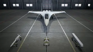 Su-35S -LAAM-8AGM-LACM-