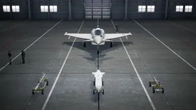 Typhoon -LACM Swap-