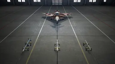 Special Weapons (SAAM, MPM, SASM)