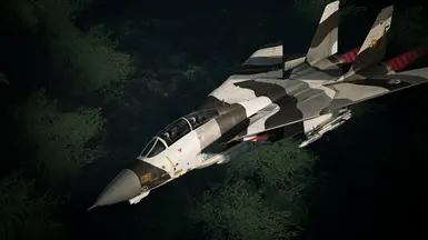 F-14D Tomcat - Arctic Camouflage