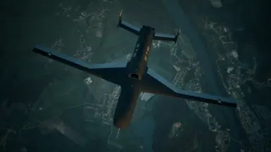 Belka Skin