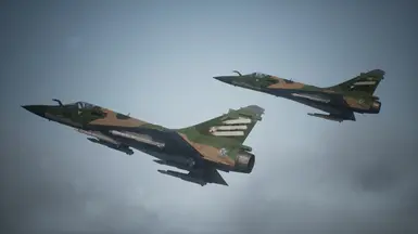 Mirage 2000-5 -Woodland-