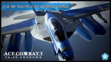FA-18F Multiple Sp. Weapon VISMOD