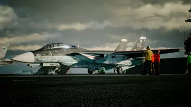 F-14D -Serdyukov-