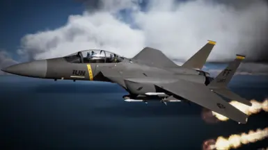 F-15E -Odin 2 Guts-