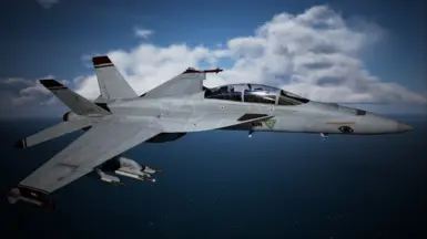 F/A-18F -Grun 2019: Grun 1 Schutz-
