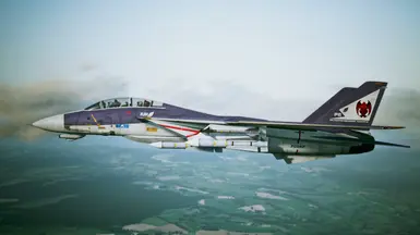F-14D -Gargoyle Squadron-